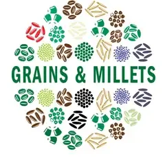 Grains & pulses