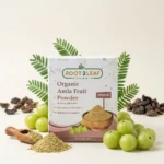 Organic Amla Fruit Powder