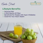 Organic Amla Fruit Powder
