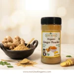 Organic Ginger Powder