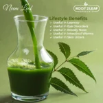 Organic Neem Powder