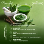 Organic Neem Powder