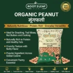 Organic Peanut / Groundnut Whole