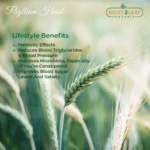 Organic Psyllium Husk