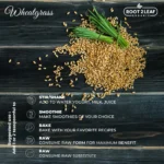 Organic Wheatgrass Powder