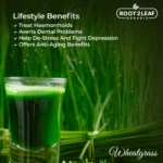 Organic Wheatgrass Powder
